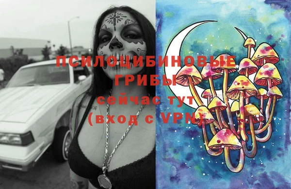 герыч Елабуга