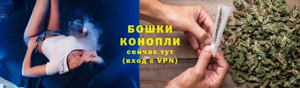 прущие крисы Елизово