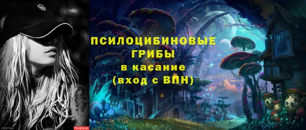 mix Ельня