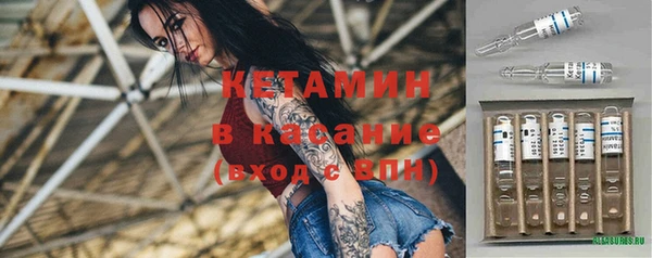 крисы Дмитров