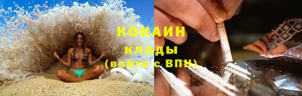 крисы Дмитров