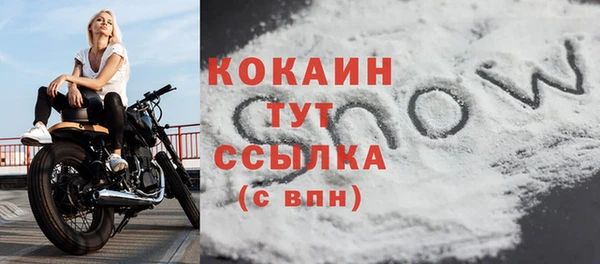прущие крисы Елизово