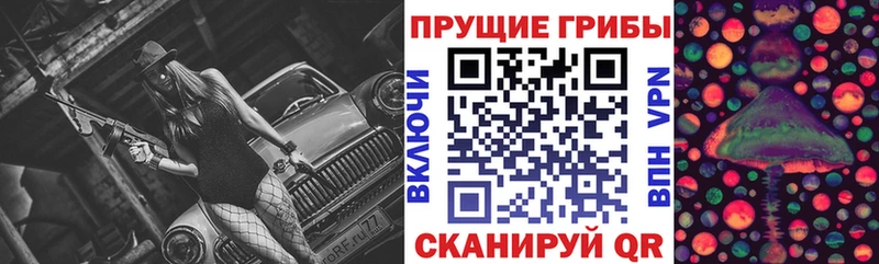 Купить  Старая Русса  Галлюциногенные грибы мицелий 